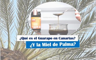 ¿Qué es el Guarapo en Canarias? ¿Y la Miel de Palma?