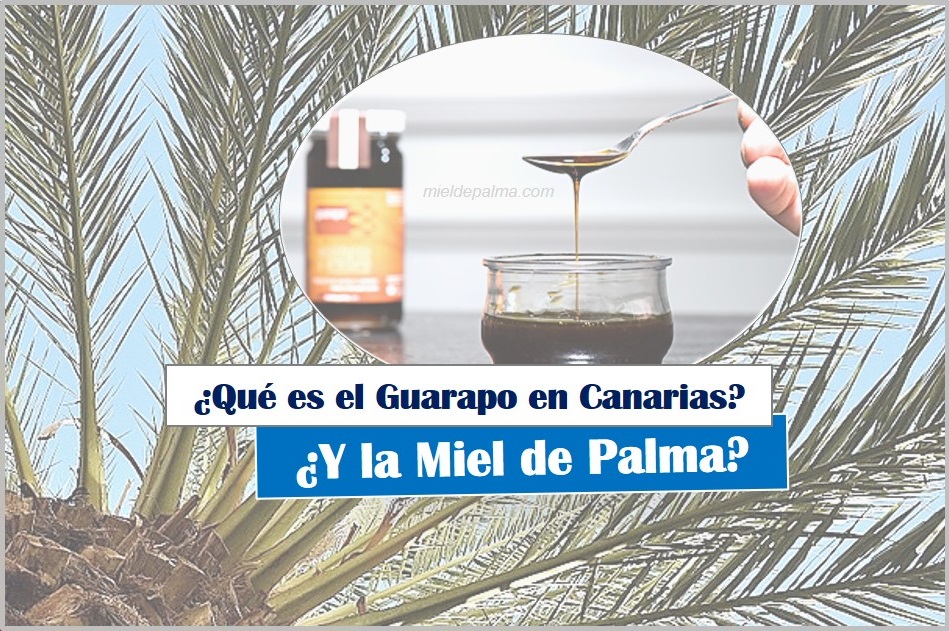 ¿Qué es el Guarapo en Canarias? ¿Y la Miel de Palma? que es guarapo que es un guarapo en España guarapo en canarias guarapo miel de palma guarapo en canarias, Podcast Canario Podcast de Guanchipedia
