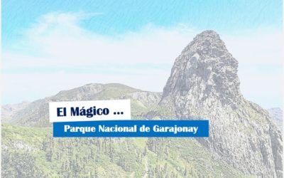 Viajamos al mágico Parque Nacional de Garajonay situado en La Gomera