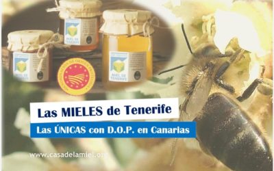 Las Mieles de Tenerife, las ÚNICAS con D.O.P. en Canarias