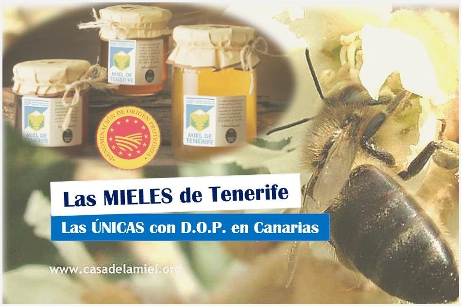 Las Mieles de Tenerife, las ÚNICAS con D.O.P. en Canarias, mieles de canarias denominaciones de origen en canarias La miel de Tenerife recibe la denominación de origen Las primeras mieles de Tenerife con denominación de origen, guachipedia