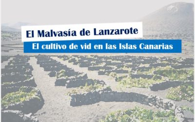 El cultivo de vid en Canarias: El Malvasía de Lanzarote