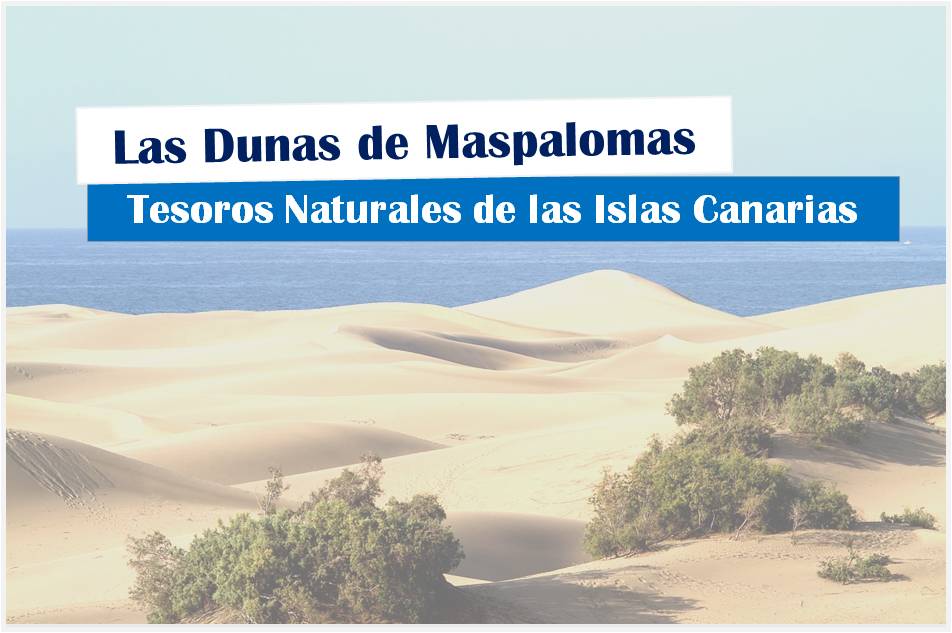 Las Dunas de Maspalomas | Tesoros Naturales de las Islas Canarias, podcast de guanchipedia, podcast canario, espacios aturales protegidos en canarias,
