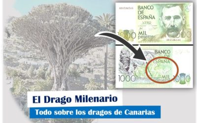 El drago milenario de Icod | Todo sobre los dragos de Canarias