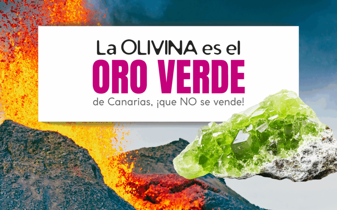 La Olivina: el "oro verde" de Canarias, ¡que no se vende! Pódcast de Guanchipedia