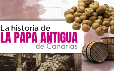 Las papas antiguas de Canarias: 4 siglos de historia