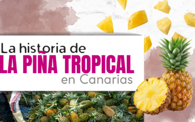 La piña herreña: uno de los tesoros tropicales de Canarias